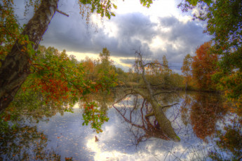 Картинка природа реки озера река лес