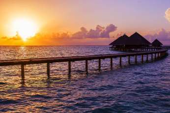 Картинка природа тропики рассвет