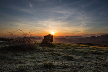 Картинка природа восходы закаты рассвет