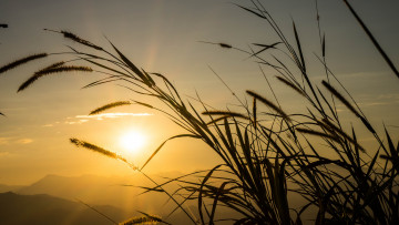 Картинка природа восходы закаты рассвет