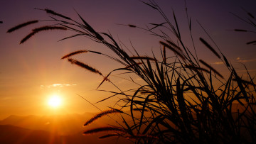 Картинка природа восходы закаты рассвет