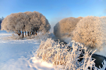 Картинка природа зима деревья снег