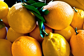 Картинка еда цитрусы плоды