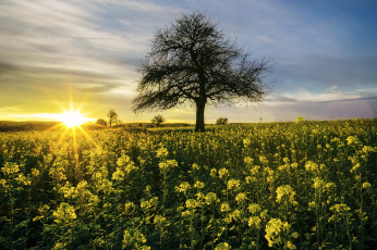 Картинка природа восходы закаты рассвет