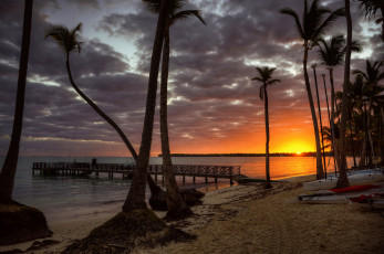 Картинка природа тропики курорт