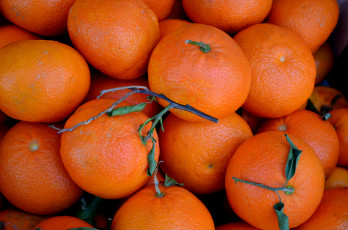 Картинка еда цитрусы плоды