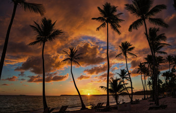 Картинка природа тропики курорт