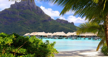 Картинка природа тропики курорт