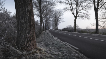 Картинка природа дороги деревья дорога