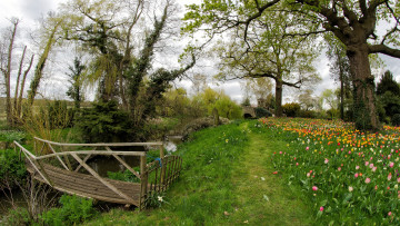 Картинка природа дороги тракт