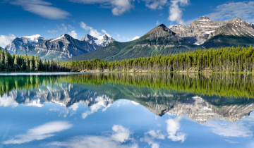 Картинка природа реки озера река лес