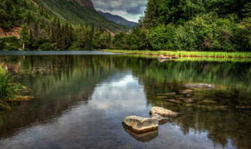 Картинка природа реки озера лес река