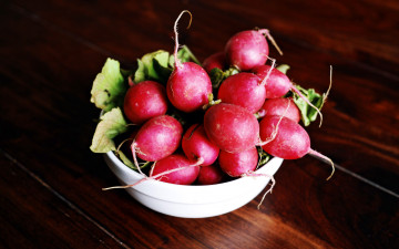 Картинка еда редис +репа +редька красная редиска