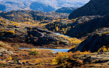 Картинка тундра природа пейзажи ручей кольский