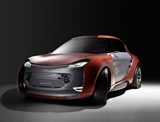 Обои картинки фото автомобили, magna