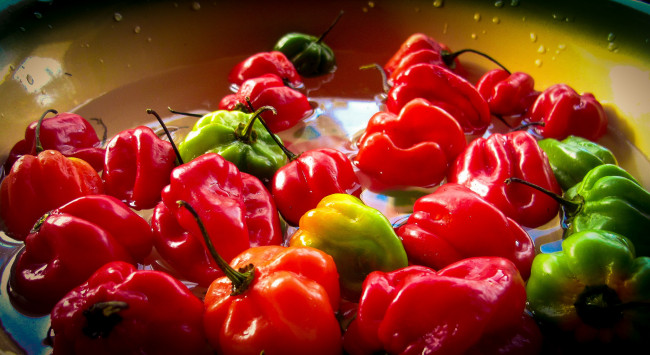 Обои картинки фото еда, перец, перчики