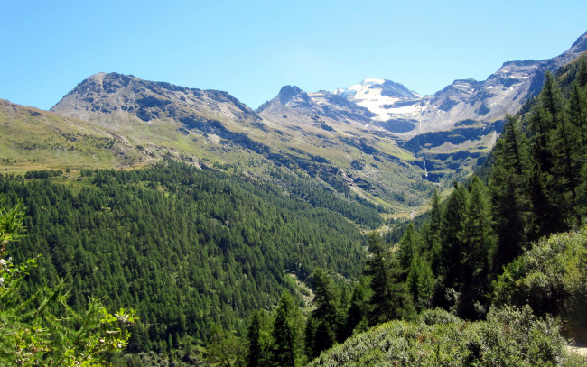 Обои картинки фото природа, горы, деревья, вершины