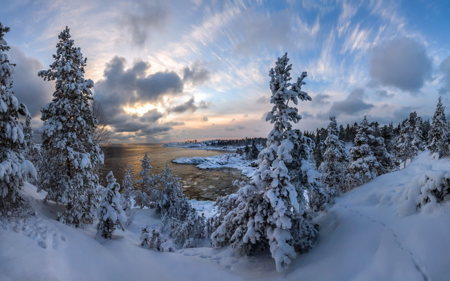 Обои картинки фото природа, зима, деревья, снег