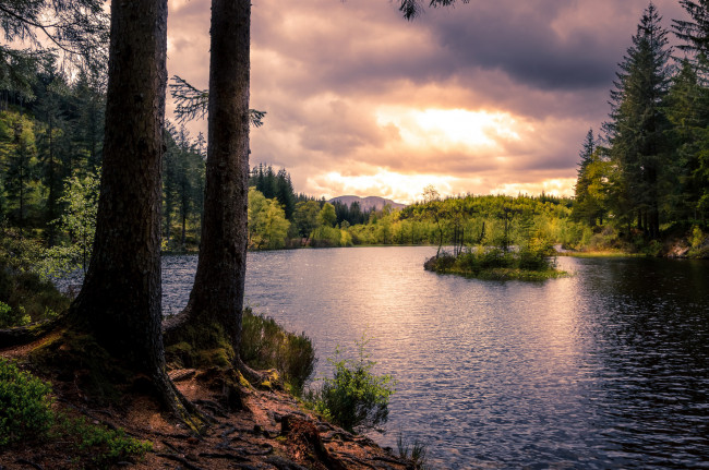 Обои картинки фото природа, реки, озера, река, лес