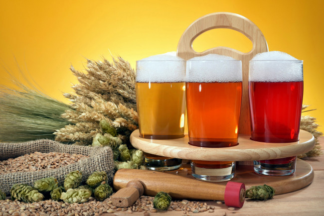 Обои картинки фото еда, напитки,  пиво, хмель, бокалы, колосья