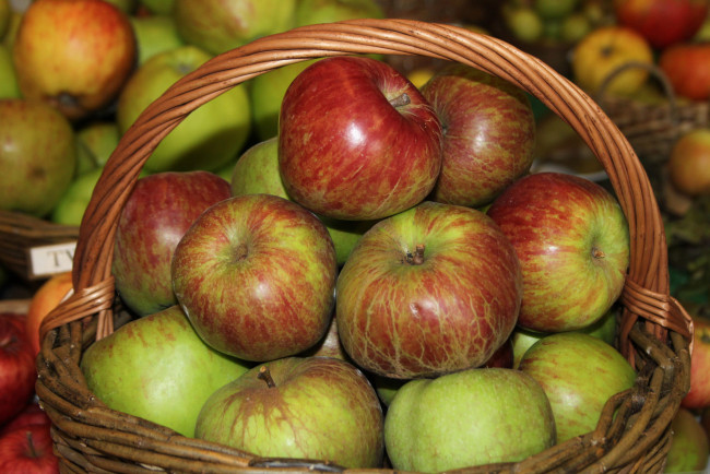 Обои картинки фото еда, Яблоки, плоды