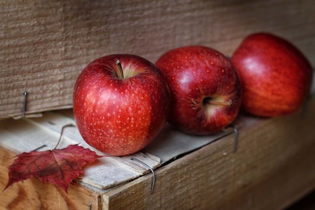 Обои картинки фото еда, Яблоки, плоды