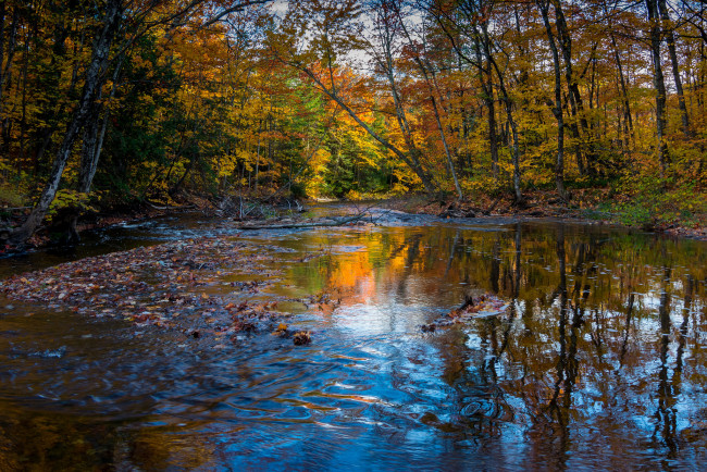 Обои картинки фото природа, реки, озера, лес, река