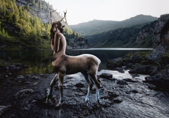 Обои картинки фото 3д графика, существа , creatures, кентавр, девушка, взгляд