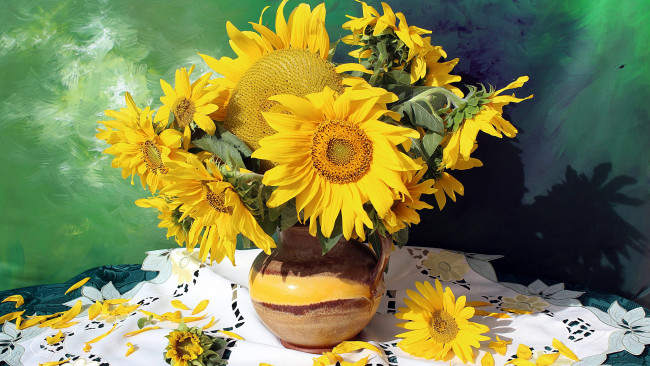 Обои картинки фото цветы, подсолнухи, подсолнух