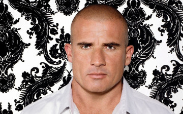 Картинка мужчины dominic+purcell лицо лысина рубашка узор