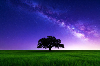 обоя 3д графика, природа , nature, поле, трава, дерево, небо, звезды, млечный, путь