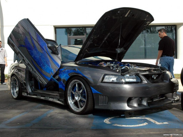 Обои картинки фото ford, mustang, автомобили