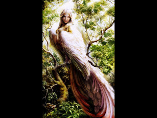 Картинка sirin фэнтези ангелы