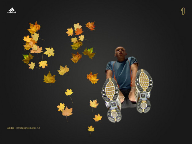 Обои картинки фото бренды, adidas