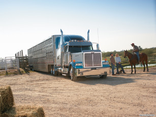 Картинка автомобили western star