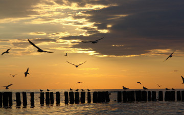 Картинка природа восходы закаты