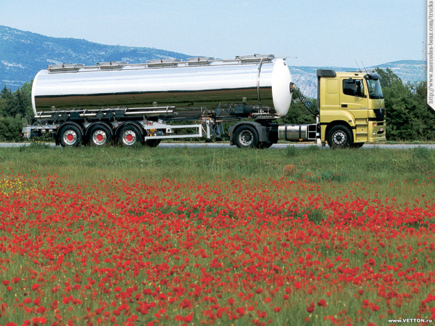 Обои картинки фото автомобили, mercedes, trucks