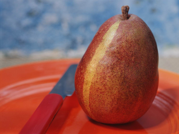 Обои картинки фото еда, манго