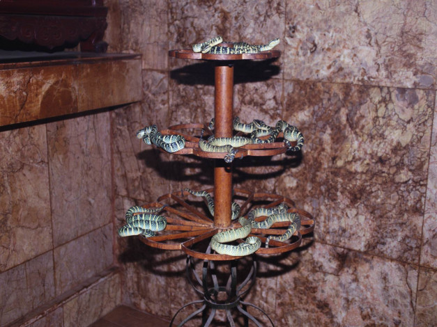 Обои картинки фото животные, змеи, питоны, кобры