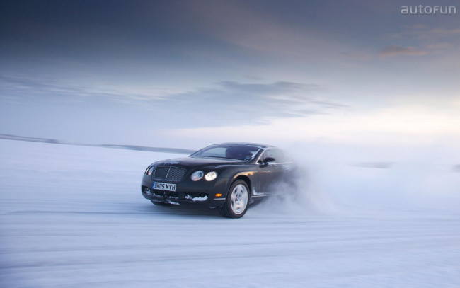 Обои картинки фото bentley, автомобили