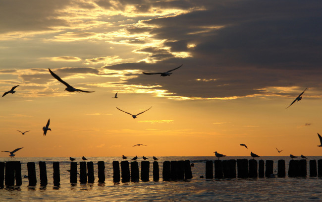 Обои картинки фото природа, восходы, закаты