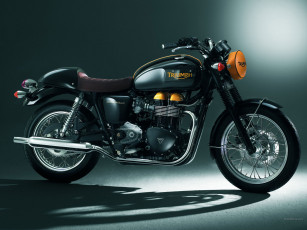Картинка мотоциклы triumph