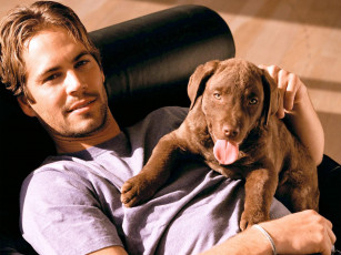 Картинка paul walker мужчины