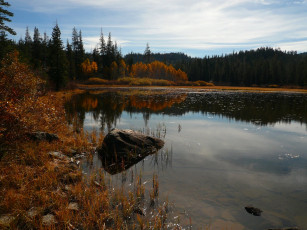 Картинка природа реки озера лесная река