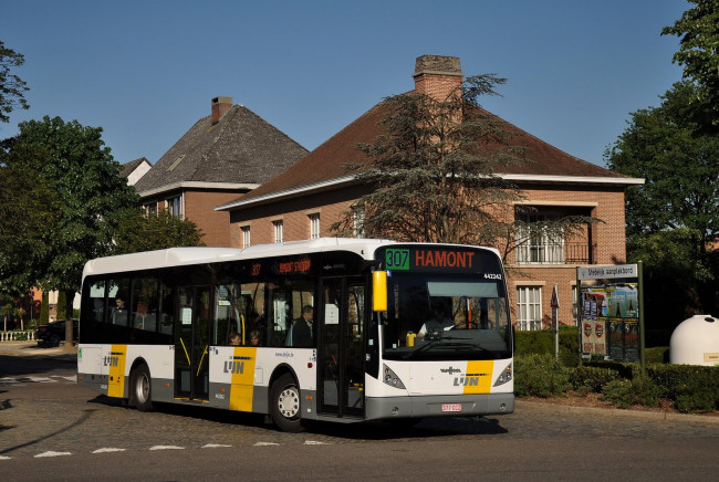 Обои картинки фото автомобили, автобусы, дорога, автобус