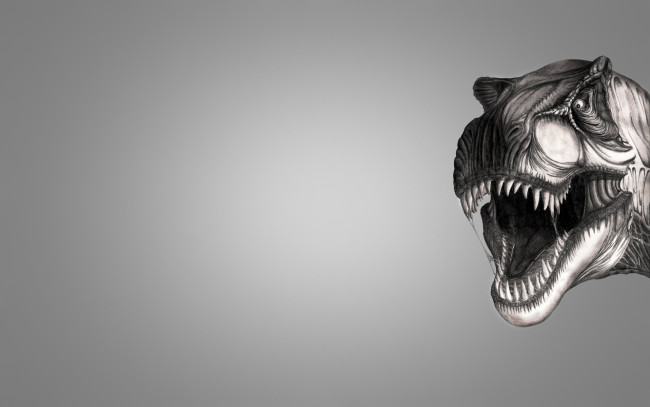 Обои картинки фото морда динозавра, рисованные, животные,  доисторические, dinosaur, хищник, динозавр