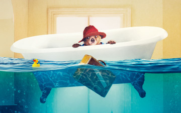 Картинка кино+фильмы paddington