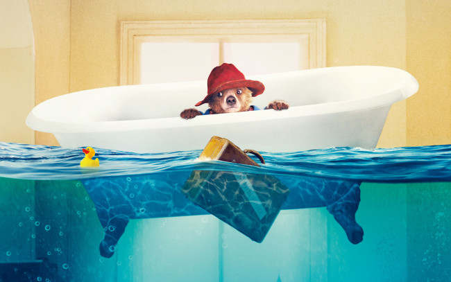 Обои картинки фото кино фильмы, paddington