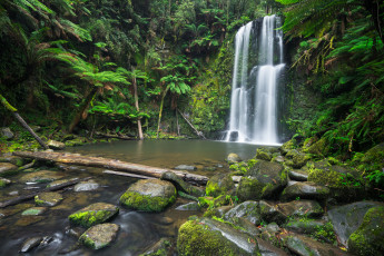Картинка природа водопады водопад река лес