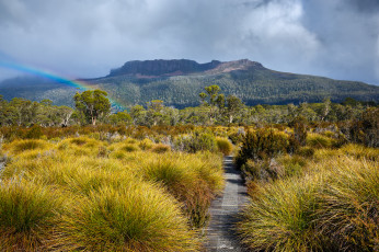Картинка природа дороги дорога прерия радуга